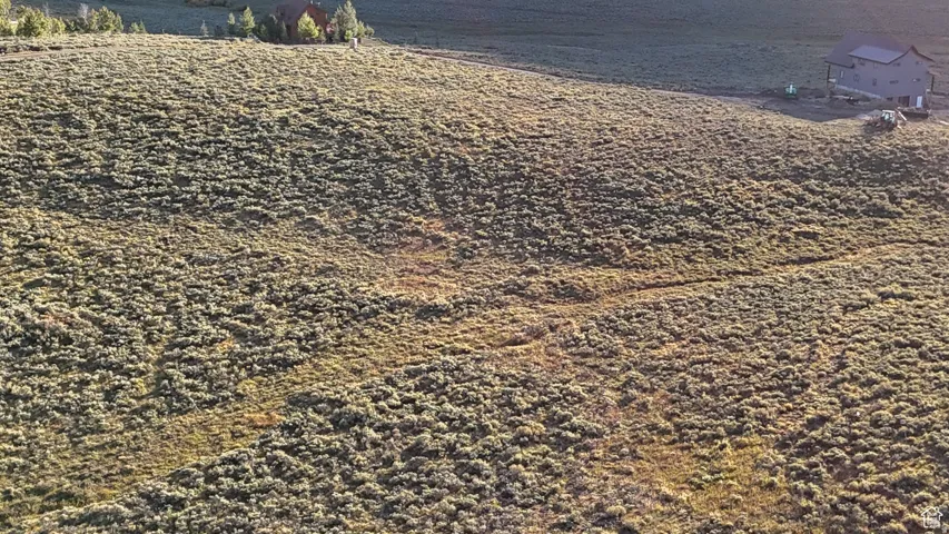 Expansive natural terrain featuring varied vegetation