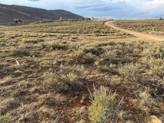Expansive undeveloped land featuring natural high desert vegetation and a winding dirt road