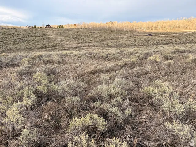 Expansive open land with natural shrubbery and distant residences