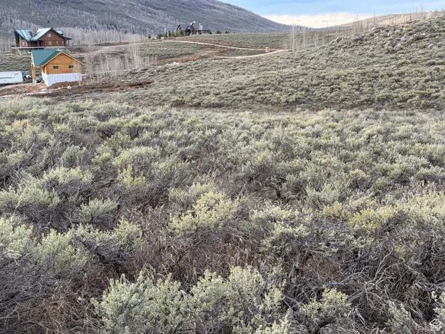 Expansive natural landscape with varied terrain and distant mountain backdrop