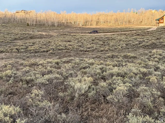 Expansive natural landscape with native shrubs and a dirt road traversing the terrain