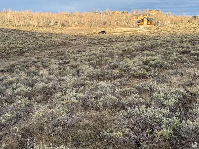Expansive natural landscape featuring varied shrubbery and distant foliage