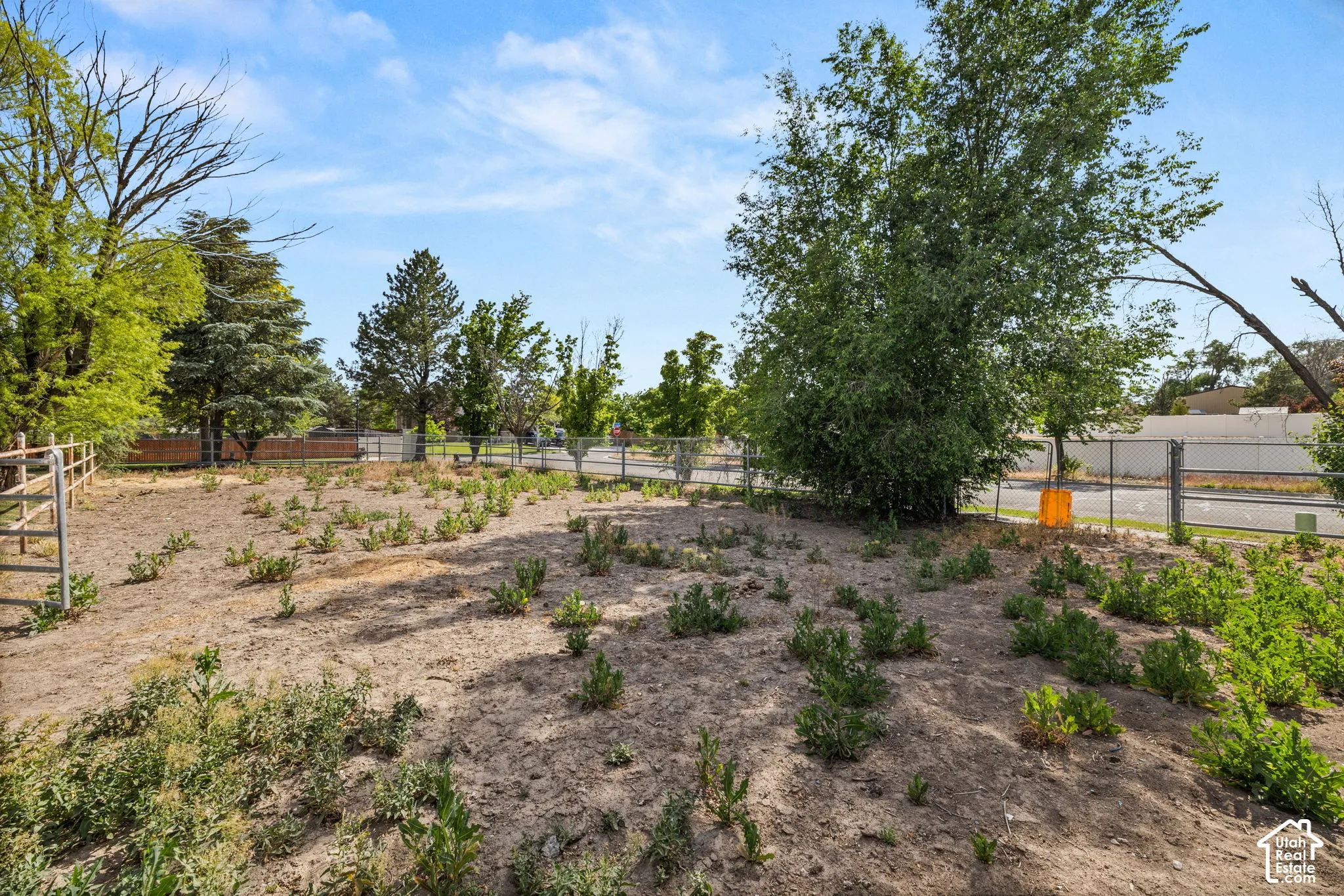 Expansive undeveloped lot featuring a chain-link fence border and mature trees