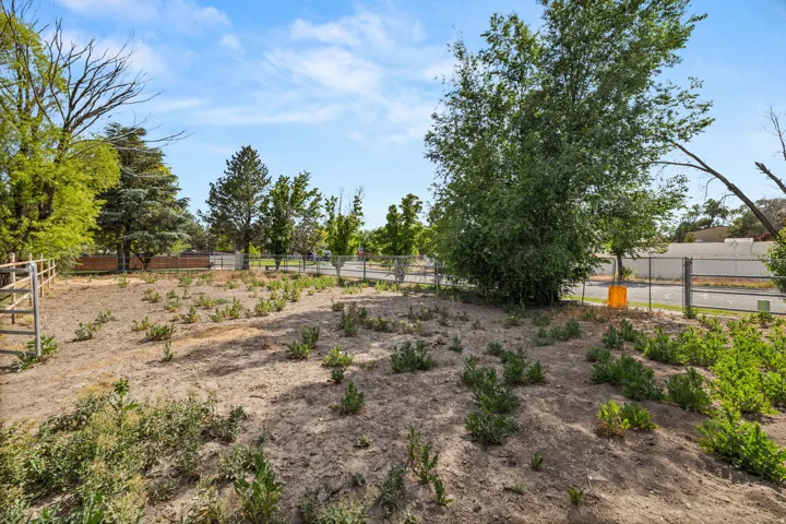 Expansive undeveloped lot featuring a chain-link fence border and mature trees