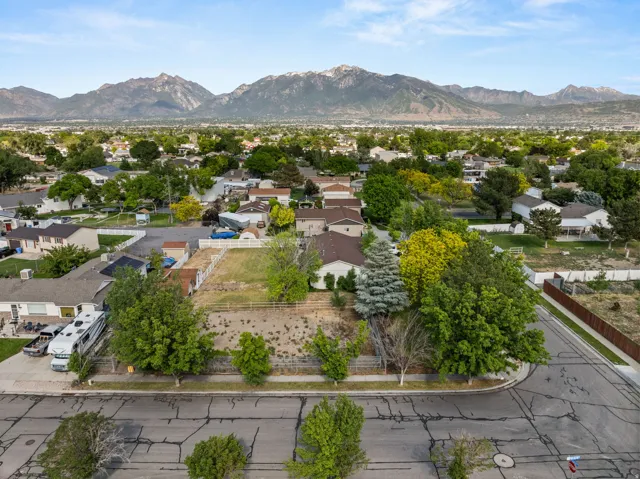 Expansive developable lot with partial fencing and established perimeter trees