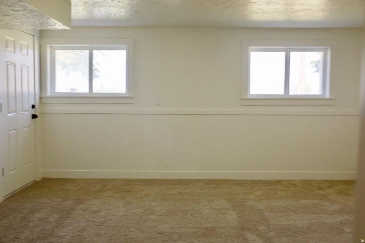 Carpeted interior space featuring two windows, neutral painted walls, and a paneled door