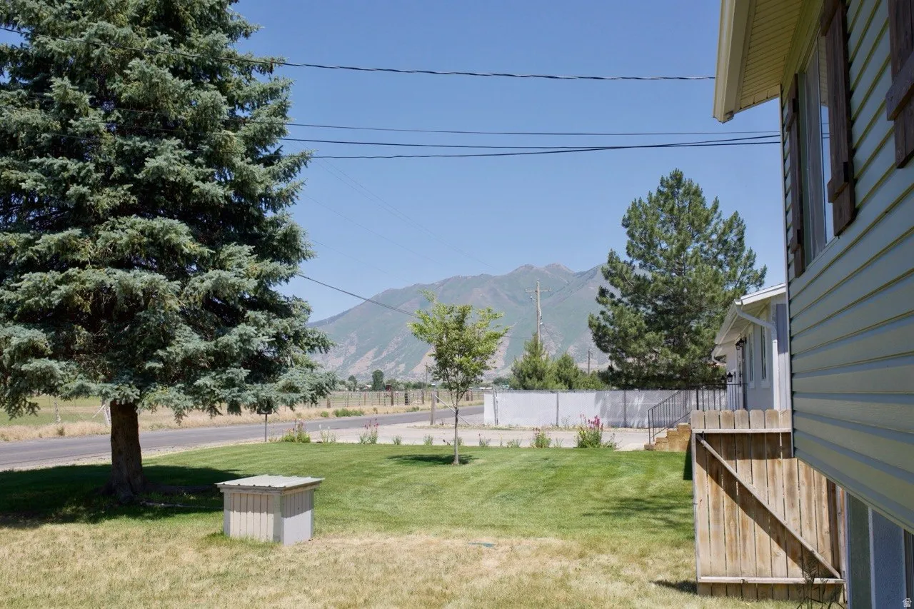 Expansive front yard featuring mature evergreen trees, a manicured lawn, and a partial wood privacy fence