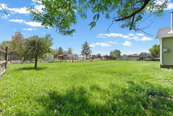 Expansive grassy yard with mature trees and perimeter fencing