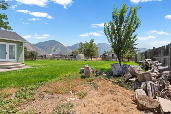 Expansive grassy yard with mountain backdrop, featuring a green-sided structure with a double glass door, and a mature tree