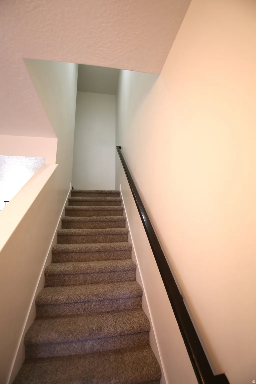 Carpeted staircase featuring a dark wood handrail and light-toned wall finishes