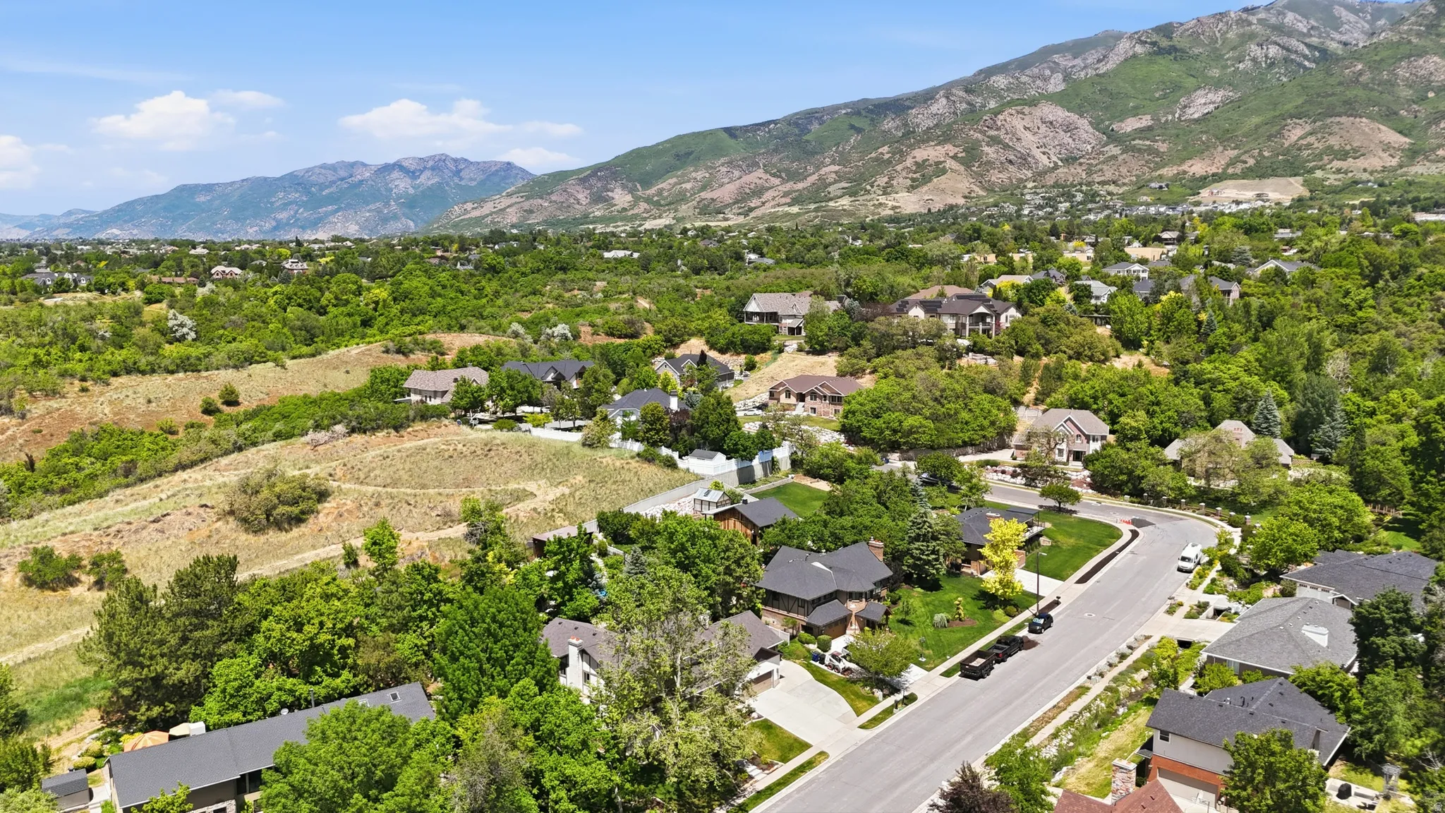 Residential area featuring extensive mature trees and mountain backdrop