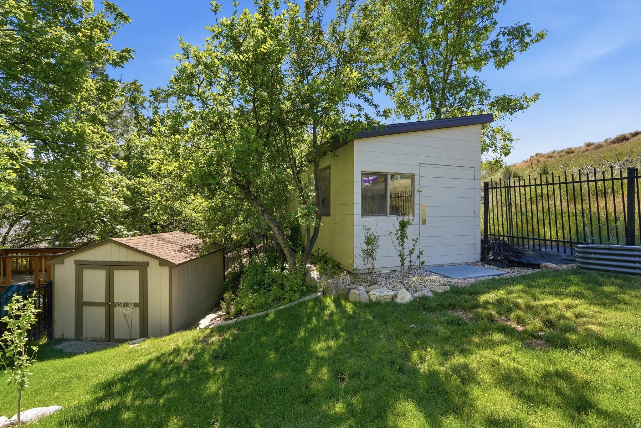 Expansive backyard featuring a manicured lawn, mature trees, a storage shed with a shingled roof, and a modern shed with horizontal siding and a flat roof