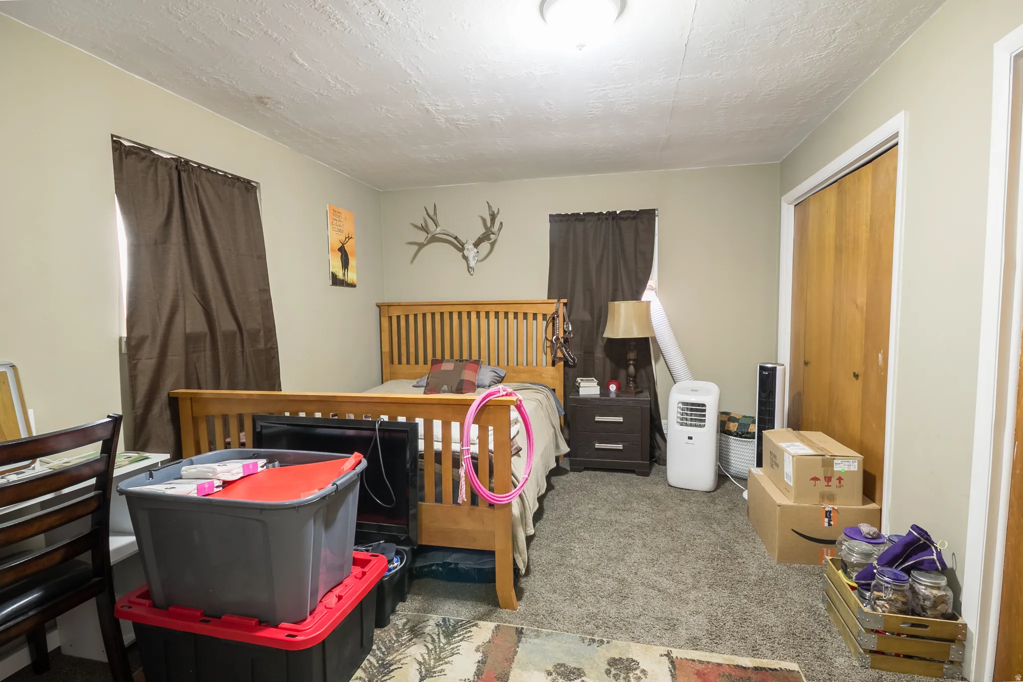 Carpeted room with a ceiling-mounted light fixture, two windows with curtain rods, and two closets featuring wood-finish bi-fold doors
