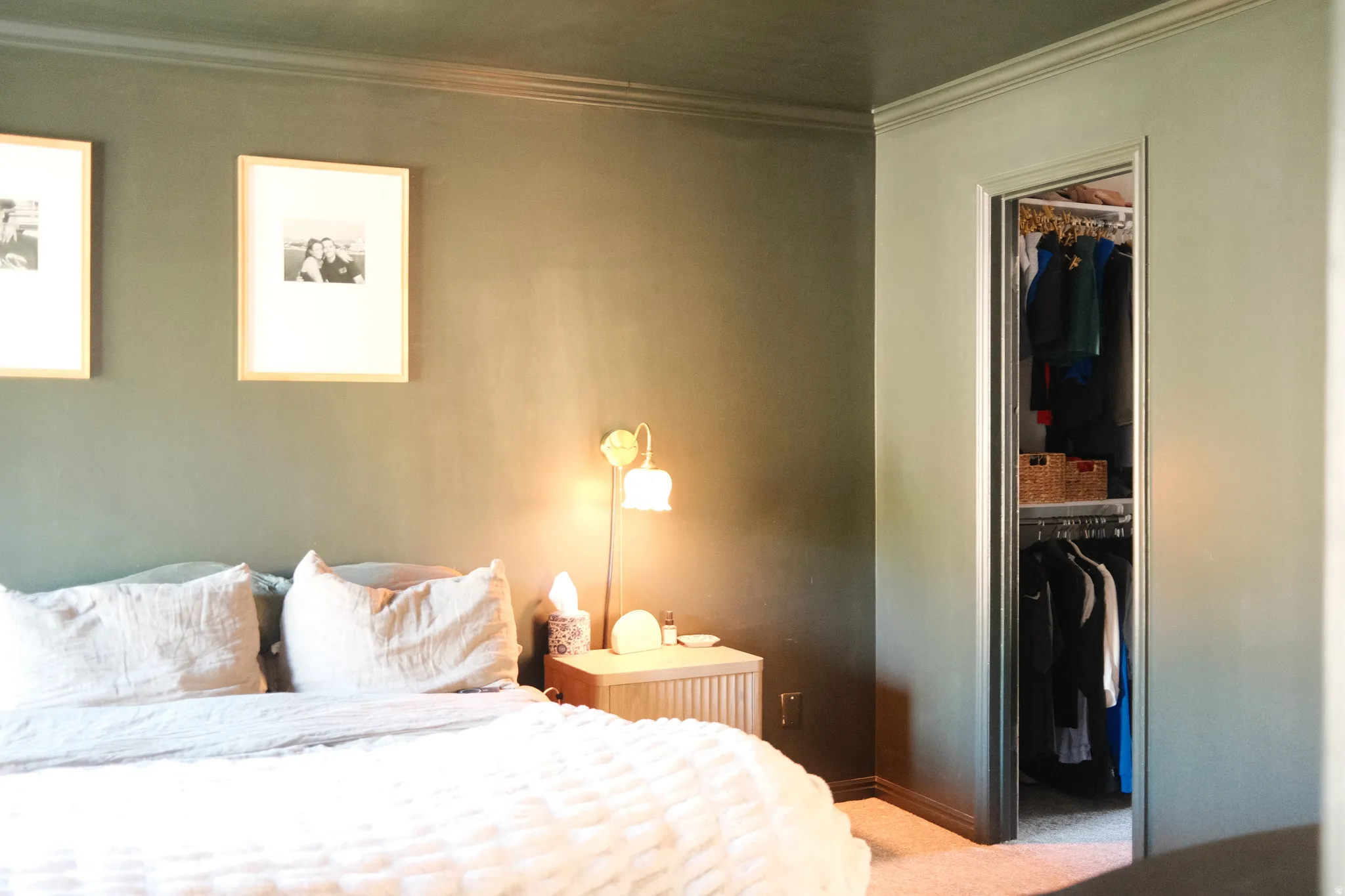 Bedroom featuring crown molding, a built-in closet with shelving and hanging storage, and neutral-toned carpeting