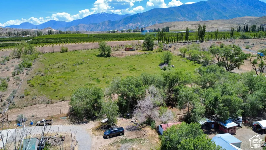 Expansive open land featuring diverse vegetation and distant mountain ranges