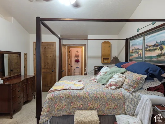 Vaulted ceiling with an attached ceiling fan, two knotty pine paneled doors, and a light-colored carpeted floor