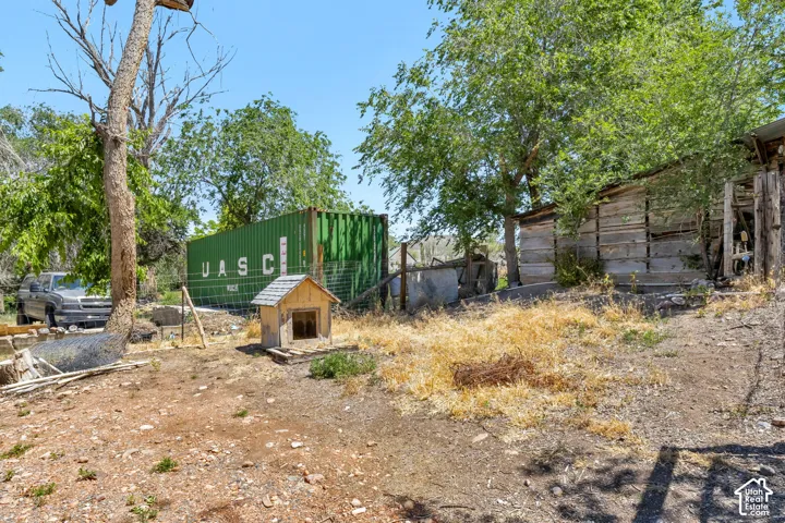 Expansive outdoor area featuring a large green storage container, mature trees, and a small wooden structure