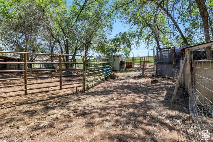 Fenced outdoor area featuring mature trees providing natural shade, multiple metal corrals, and various enclosed structures
