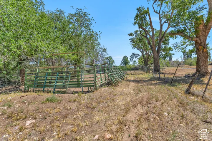 Metal corrals with green panels, mature trees, and a dirt ground cover