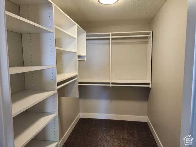 Walk-in closet featuring white built-in shelving, multiple hanging rods, and neutral-toned carpeting