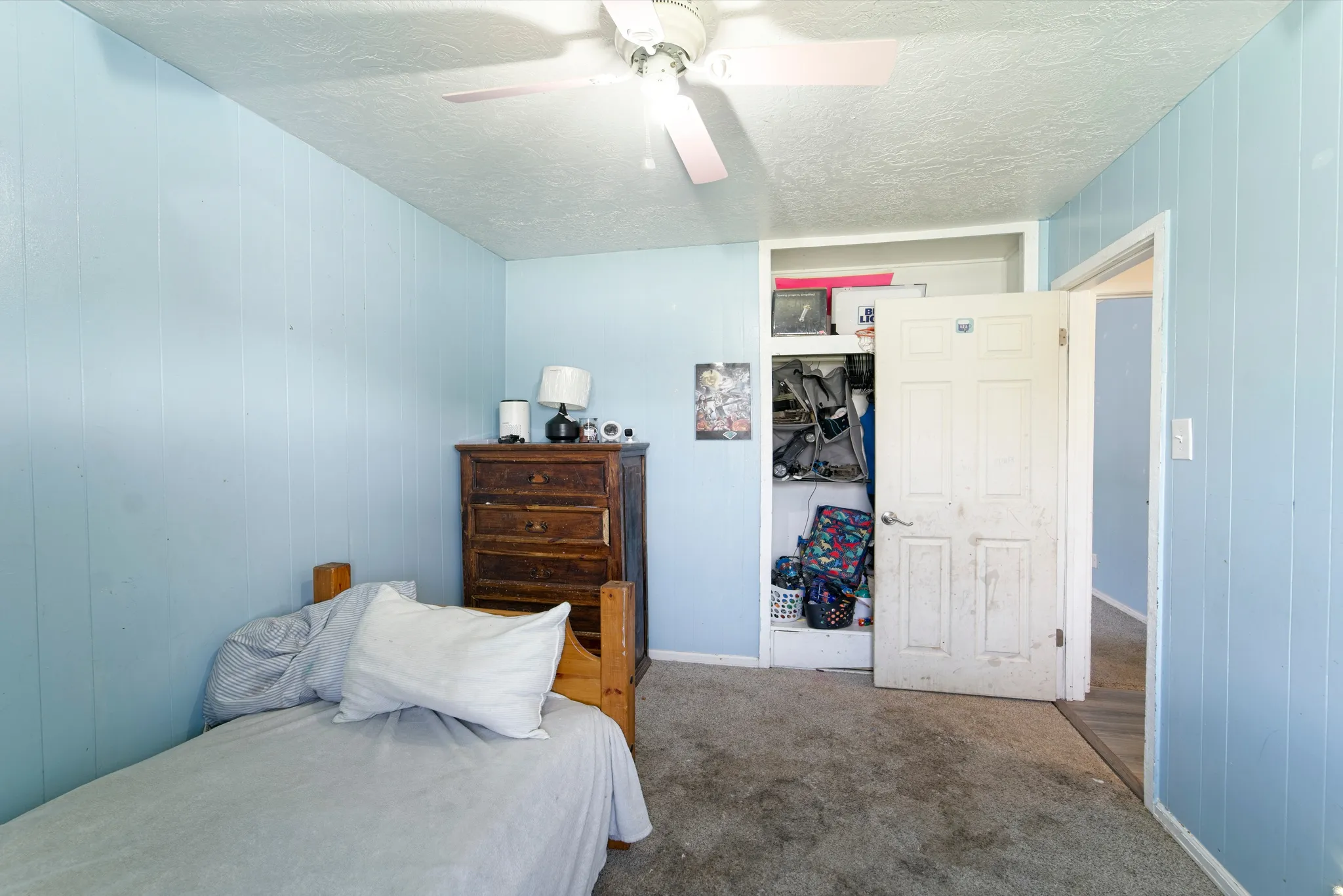 Wall-to-wall carpeting and paneled walls