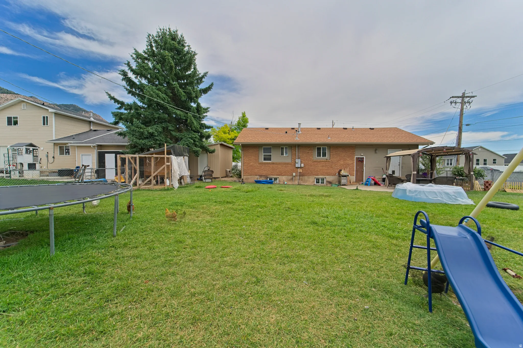 Expansive backyard featuring a large evergreen tree and a manicured lawn