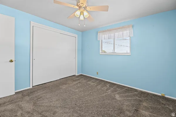 Carpeted room featuring a ceiling fan with light fixture, a window with horizontal blinds and valance, and a bi-fold closet