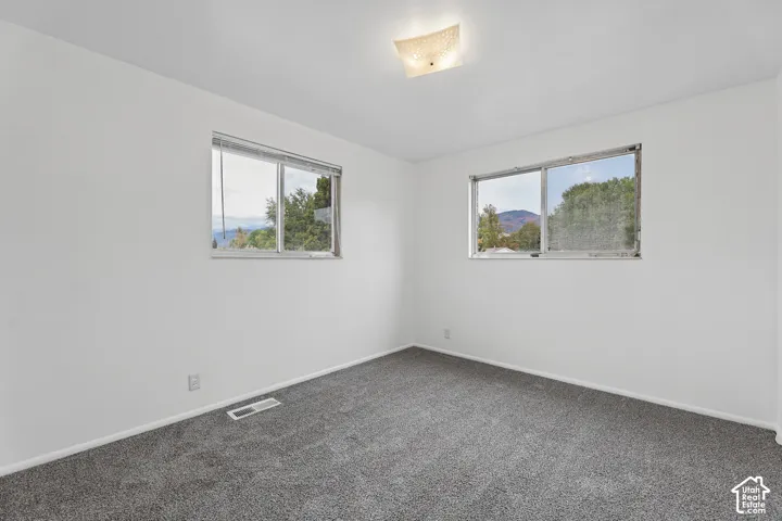 Bedroom 3 Neutral wall finishes, gray carpet, dual windows, and ceiling-mounted light fixture