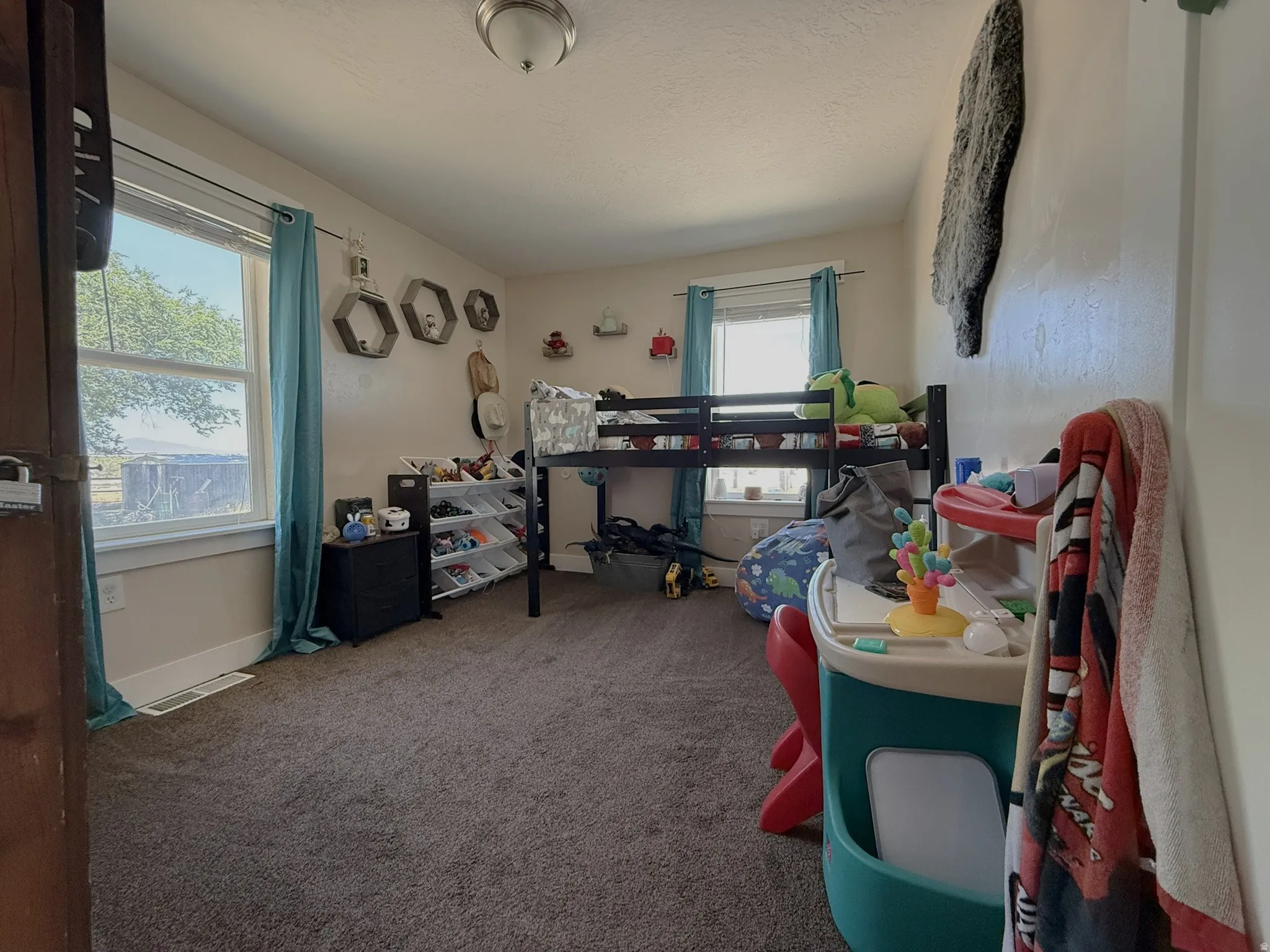 Carpeted room with multiple windows providing natural light