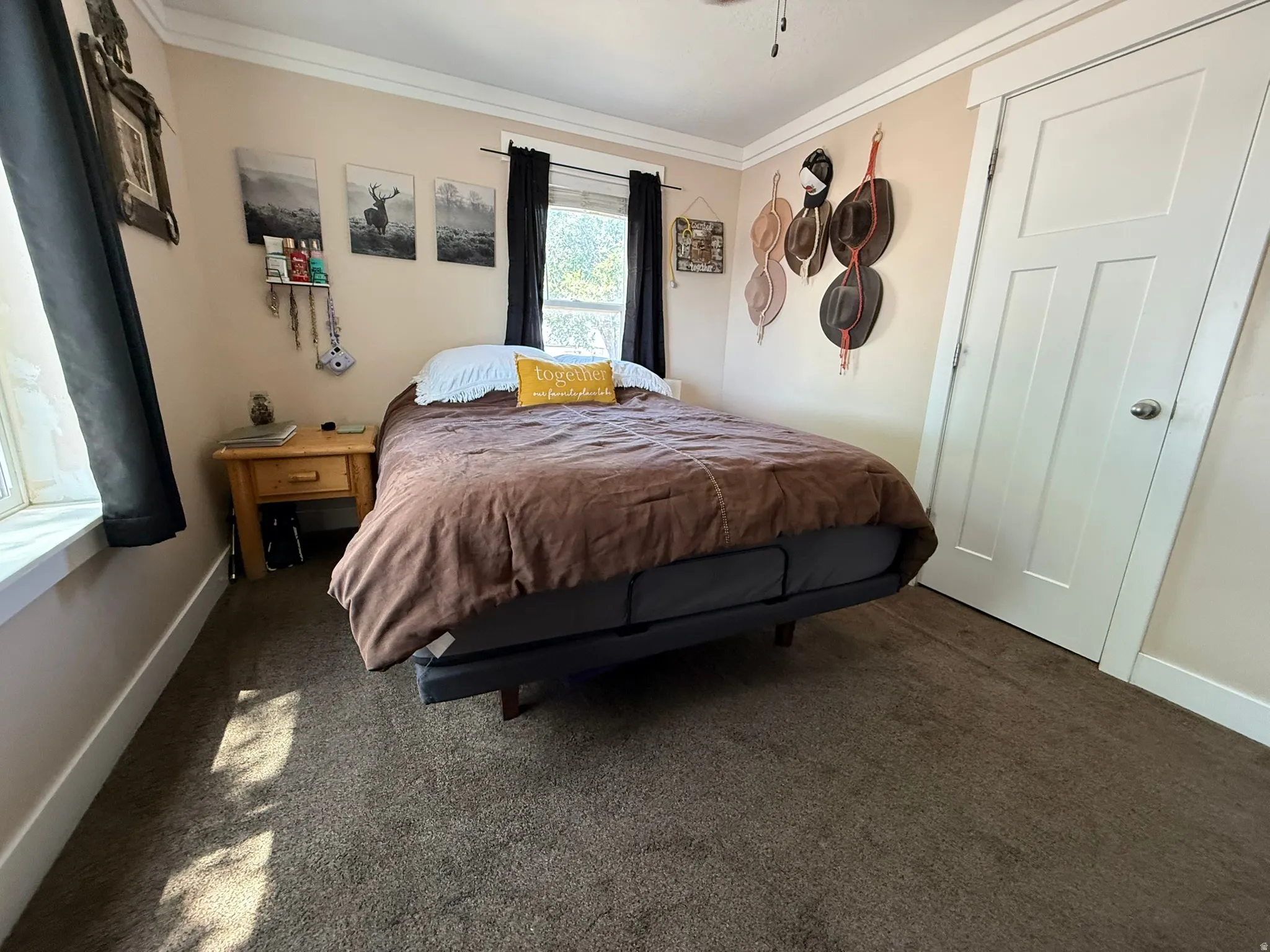 Carpeted room featuring a white paneled door, crown molding, and a window with black curtains