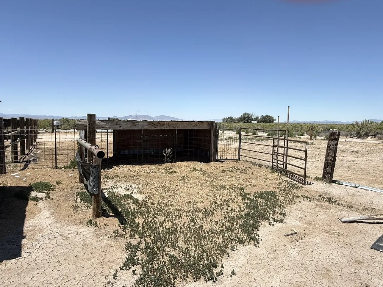 Enclosed animal pen with a wooden shelter