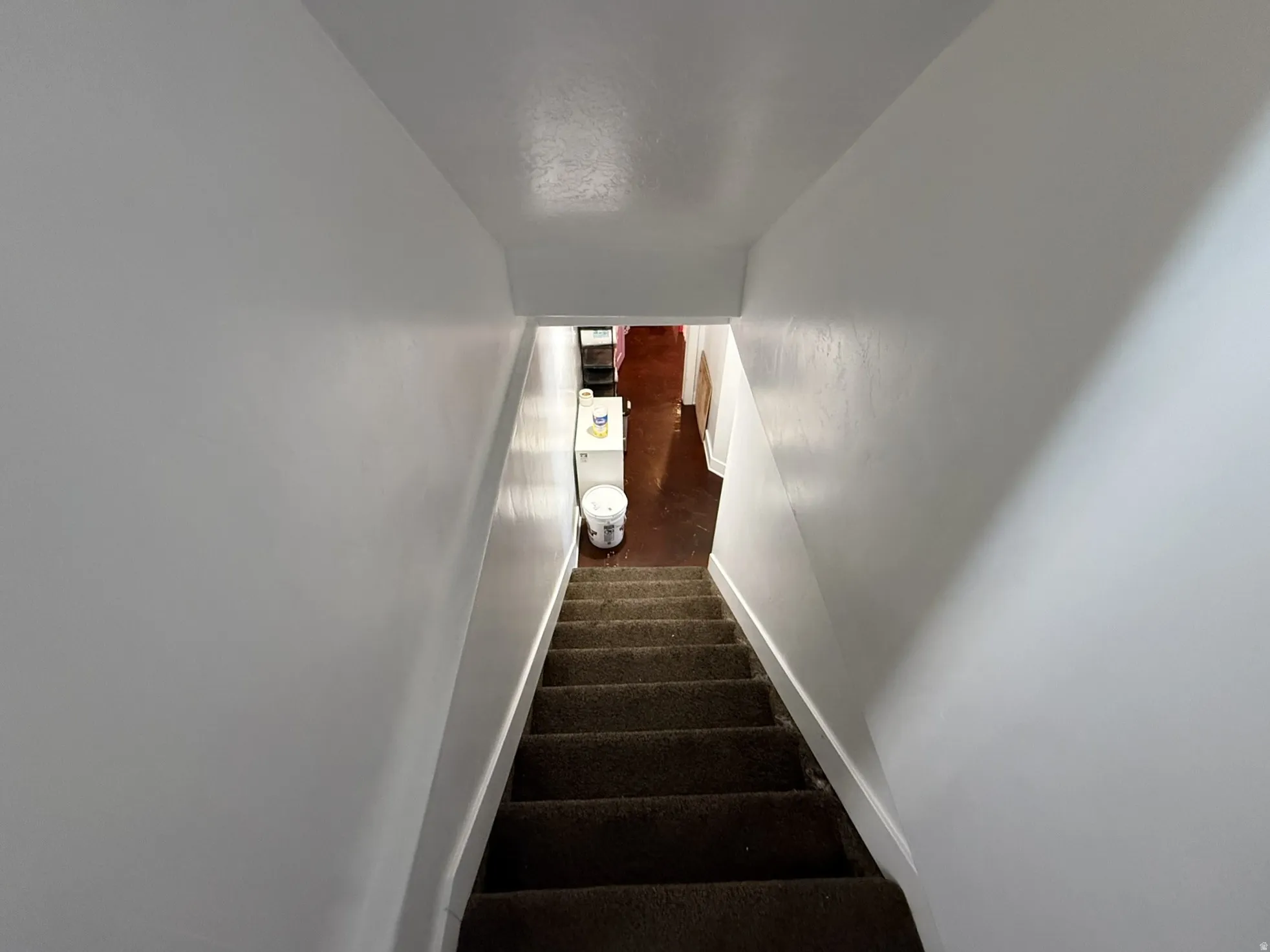 Carpeted staircase descending into a hallway with wood-finish flooring