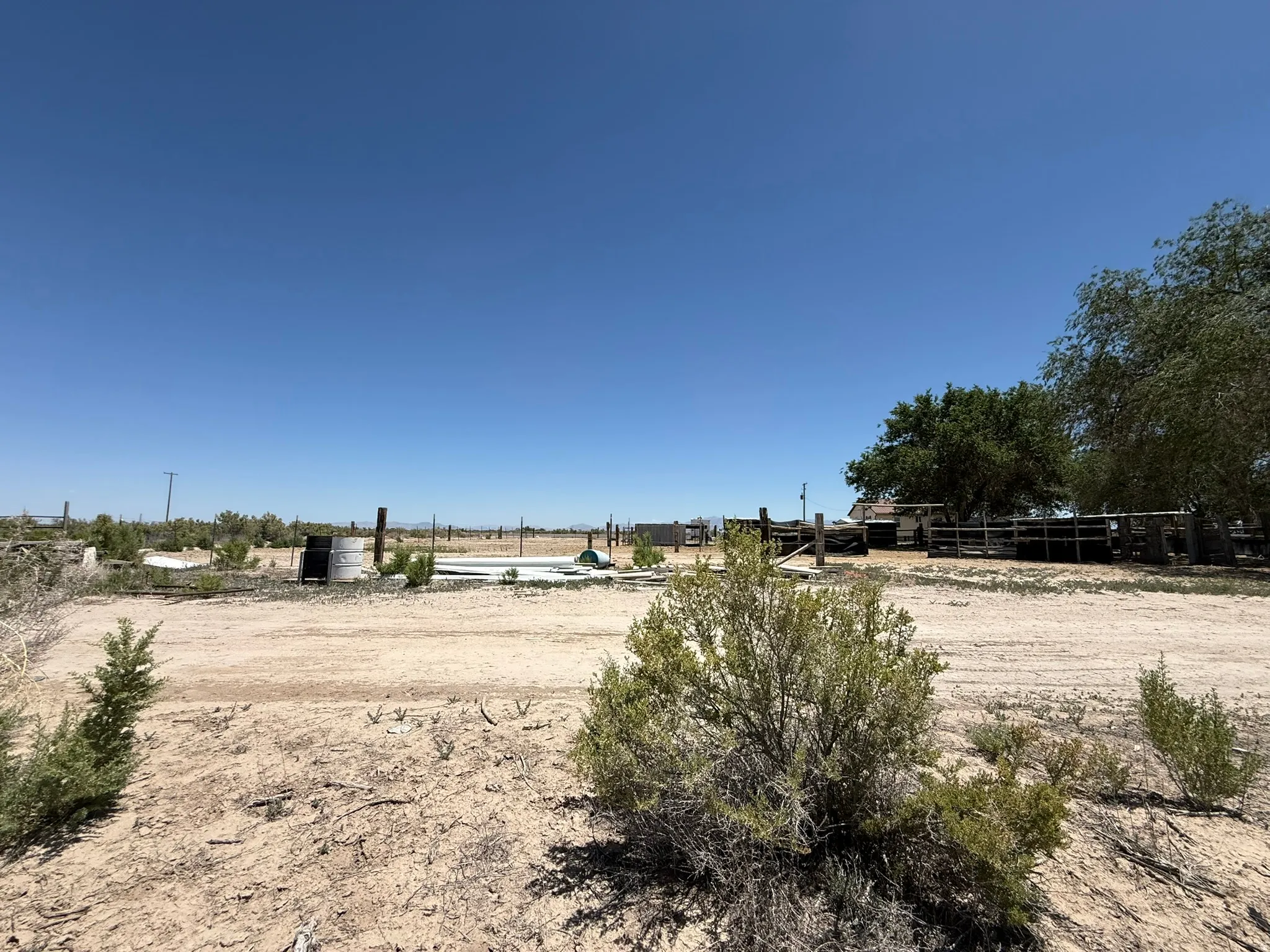 Expansive undeveloped land featuring mature trees and a clear, open sky