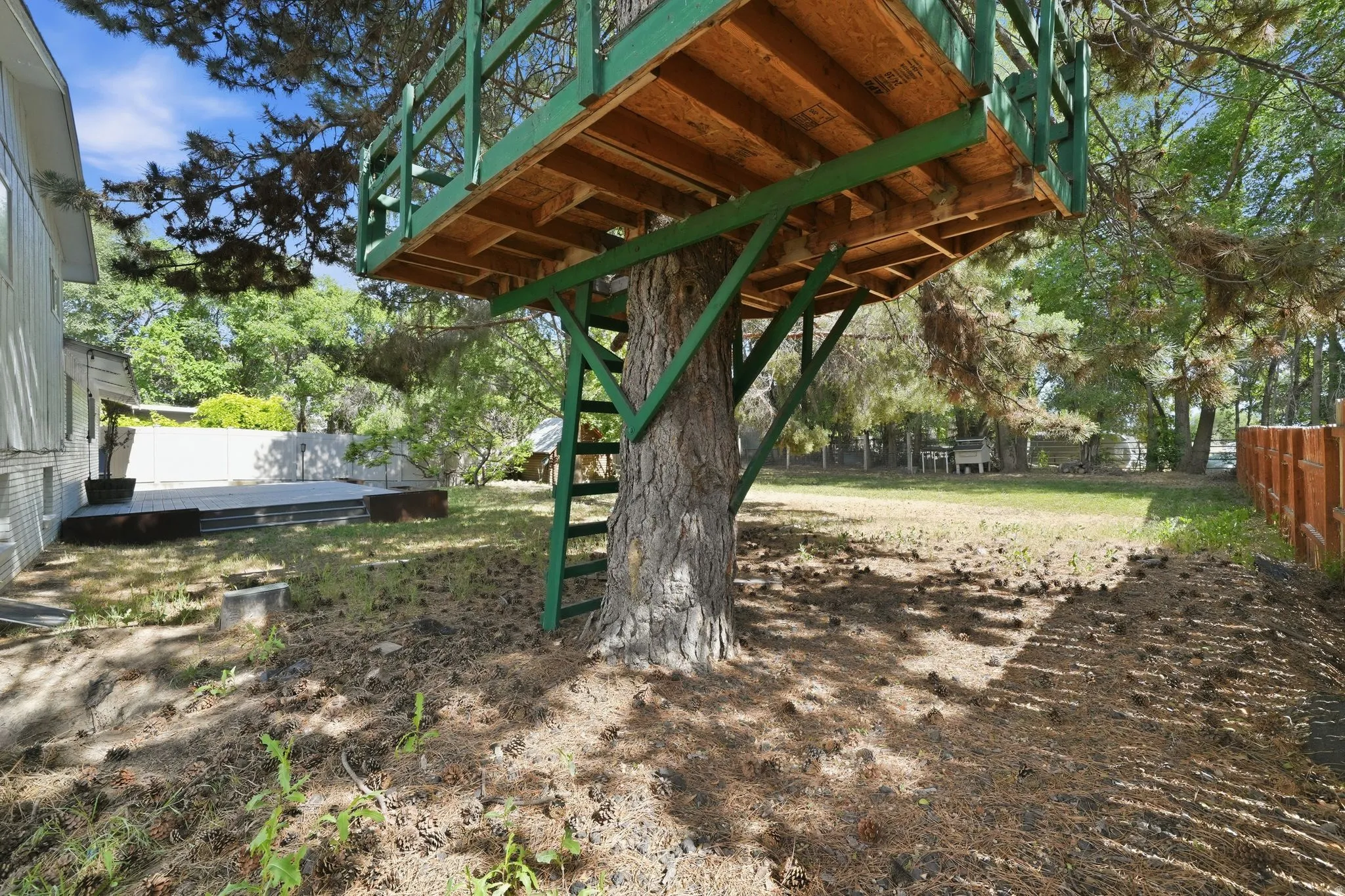 Backyard featuring a built treehouse structure, a wooden privacy fence, a large established tree, and a concrete patio space