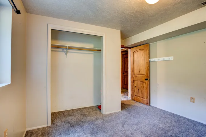 Neutral wall tones, textured ceiling, gray carpet, wood-finish door, and built-in closet with hanging rod