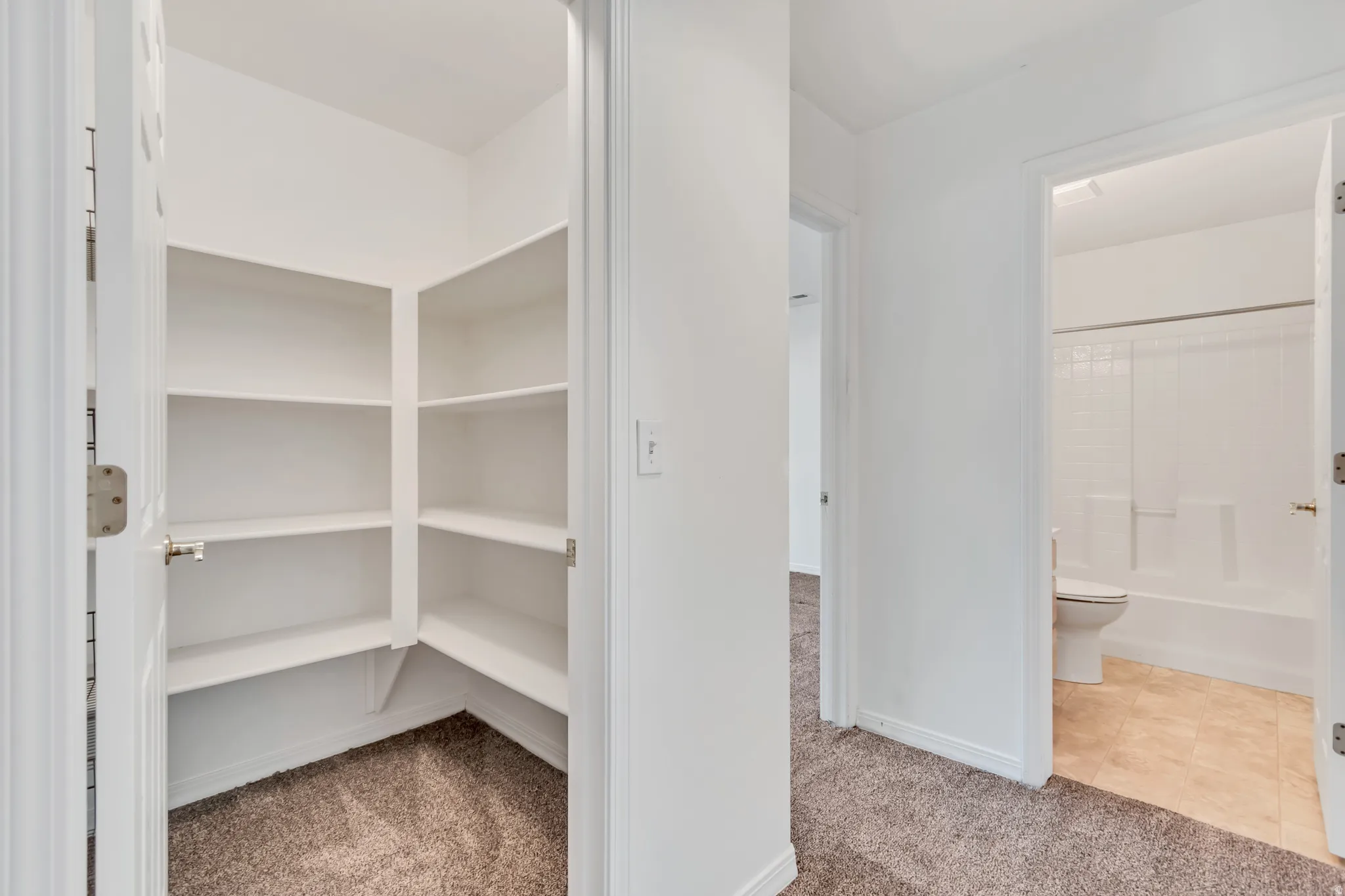 Spacious linen closet with multiple shelves