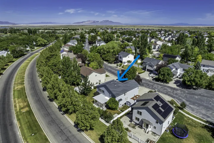 Residential area with established trees and streetscapes (blue arrow)