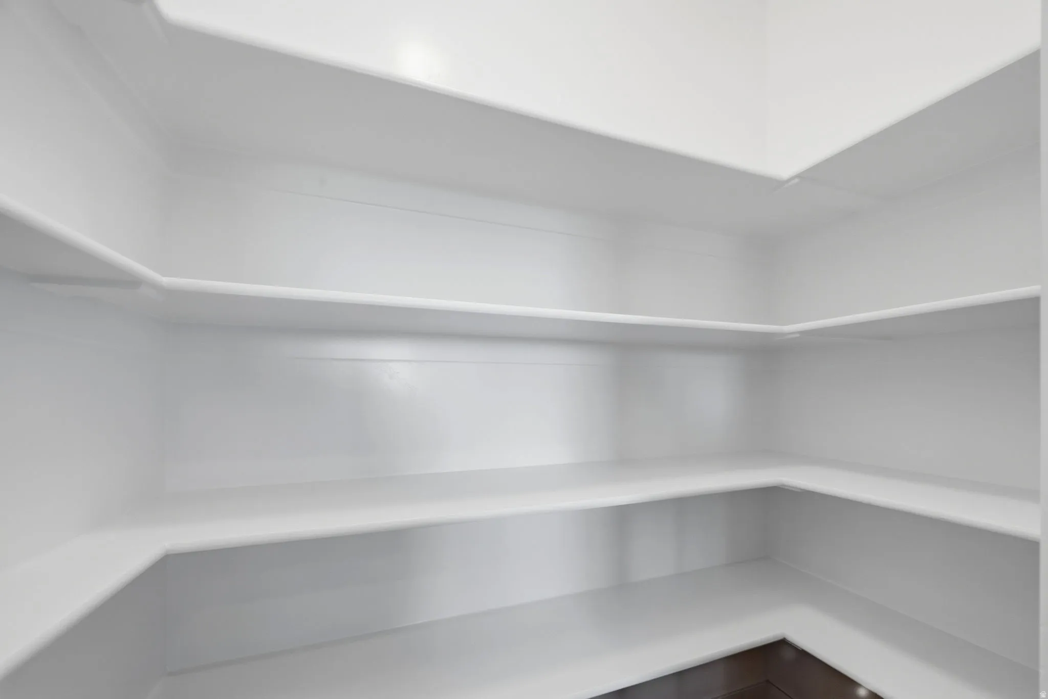 Kitchen Walk-in pantry featuring multiple levels of white shelving.