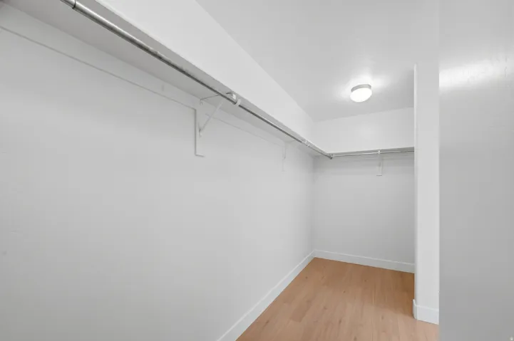 Master Walk-in closet