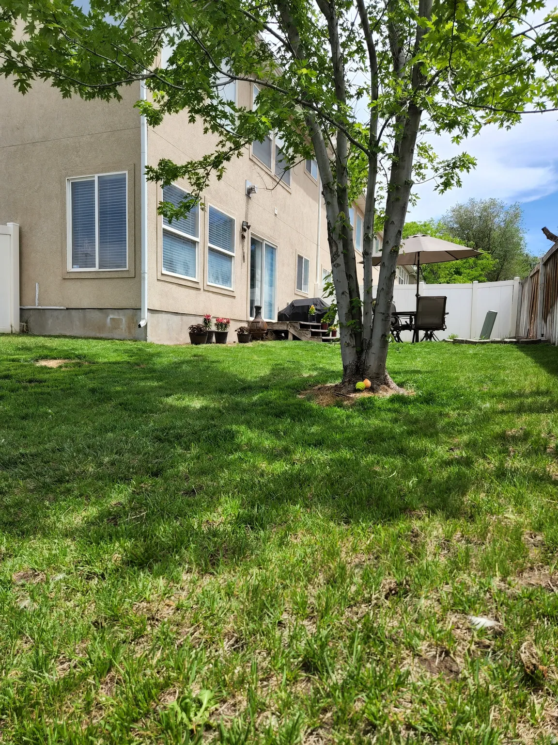 Expansive green lawn featuring a mature deciduous tree.  This is a former picture showing what it could look like again...no grass currently.