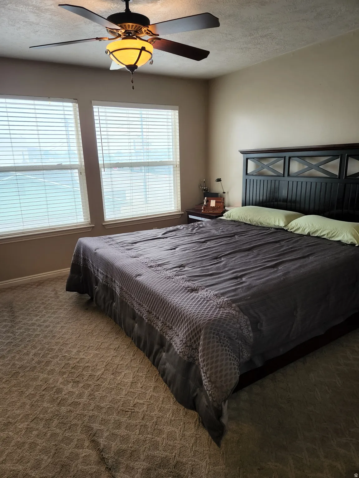Master bedroom featuring neutral wall tones and textured carpeting