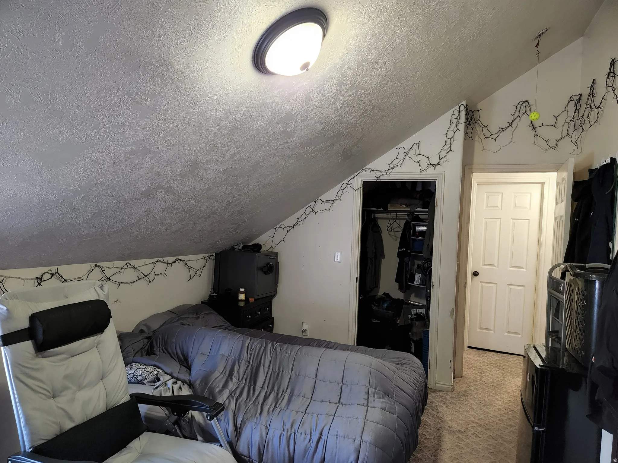 5th bedroom with sloped ceiling room featuring a flush-mount ceiling light fixture, a walk in closet, and a paneled interior door