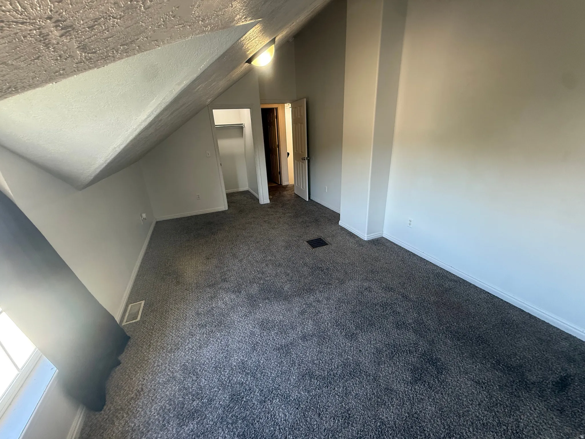 Vaulted ceiling, carpet flooring, window with natural light, interior door, and built-in closet