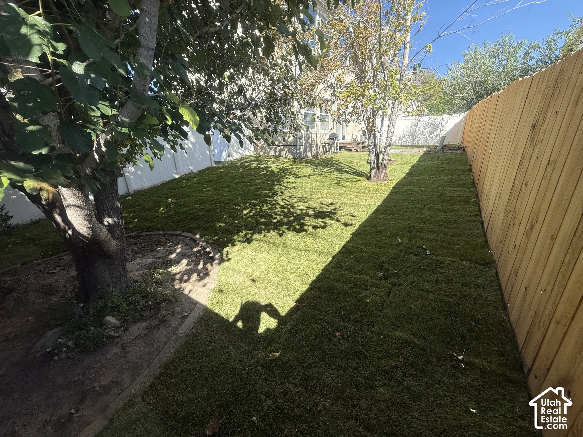 Expansive backyard with a newly installed sod lawn, mature shade trees, and a privacy fence