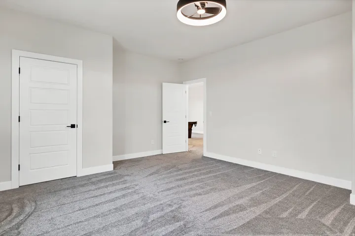 Neutral-toned interior room featuring light gray walls, plush gray carpeting, and white trim