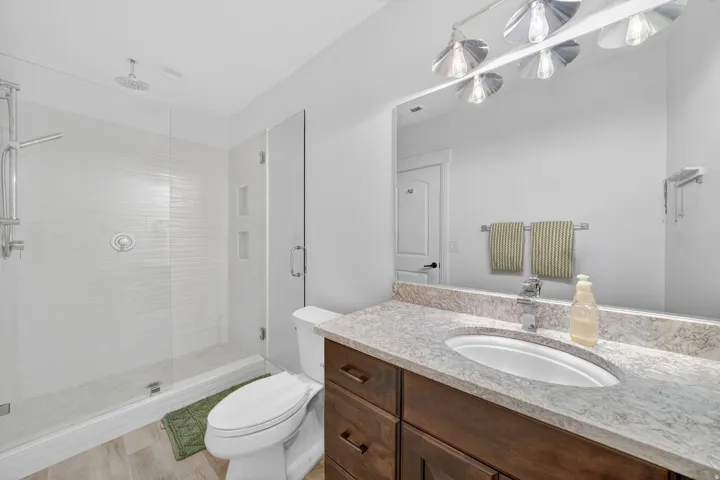 Basement Master Suite Bathroom