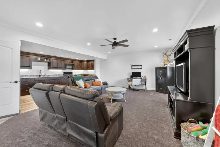 Basement Living Room