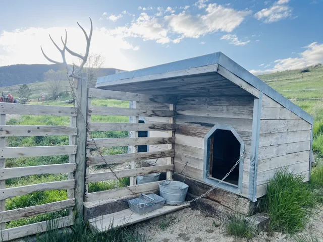 Rustic wood-plank structure with a sloped metal roof