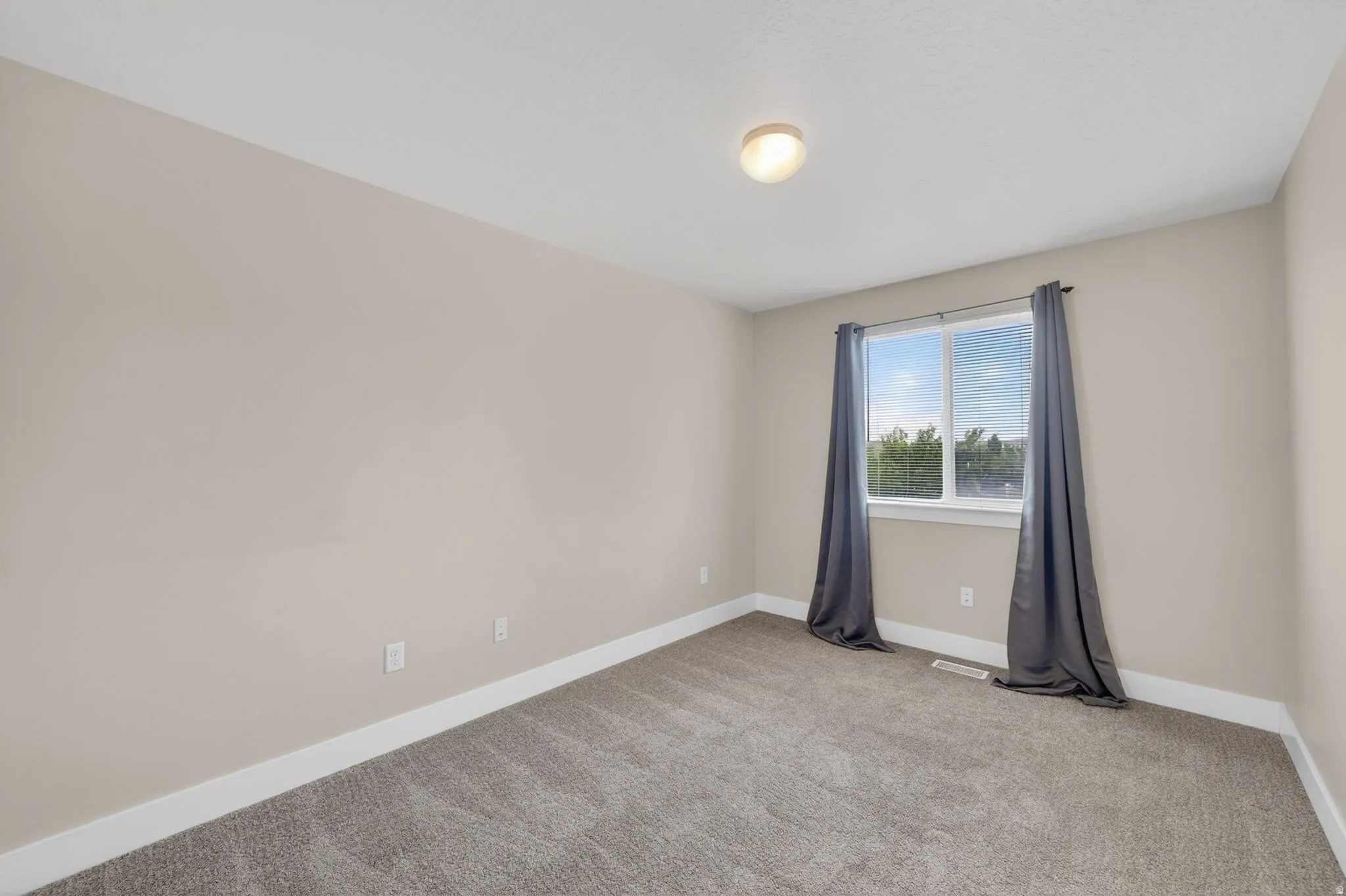 Carpeted room featuring a double-pane window, neutral wall paint, white baseboards, and a ceiling-mounted light fixture