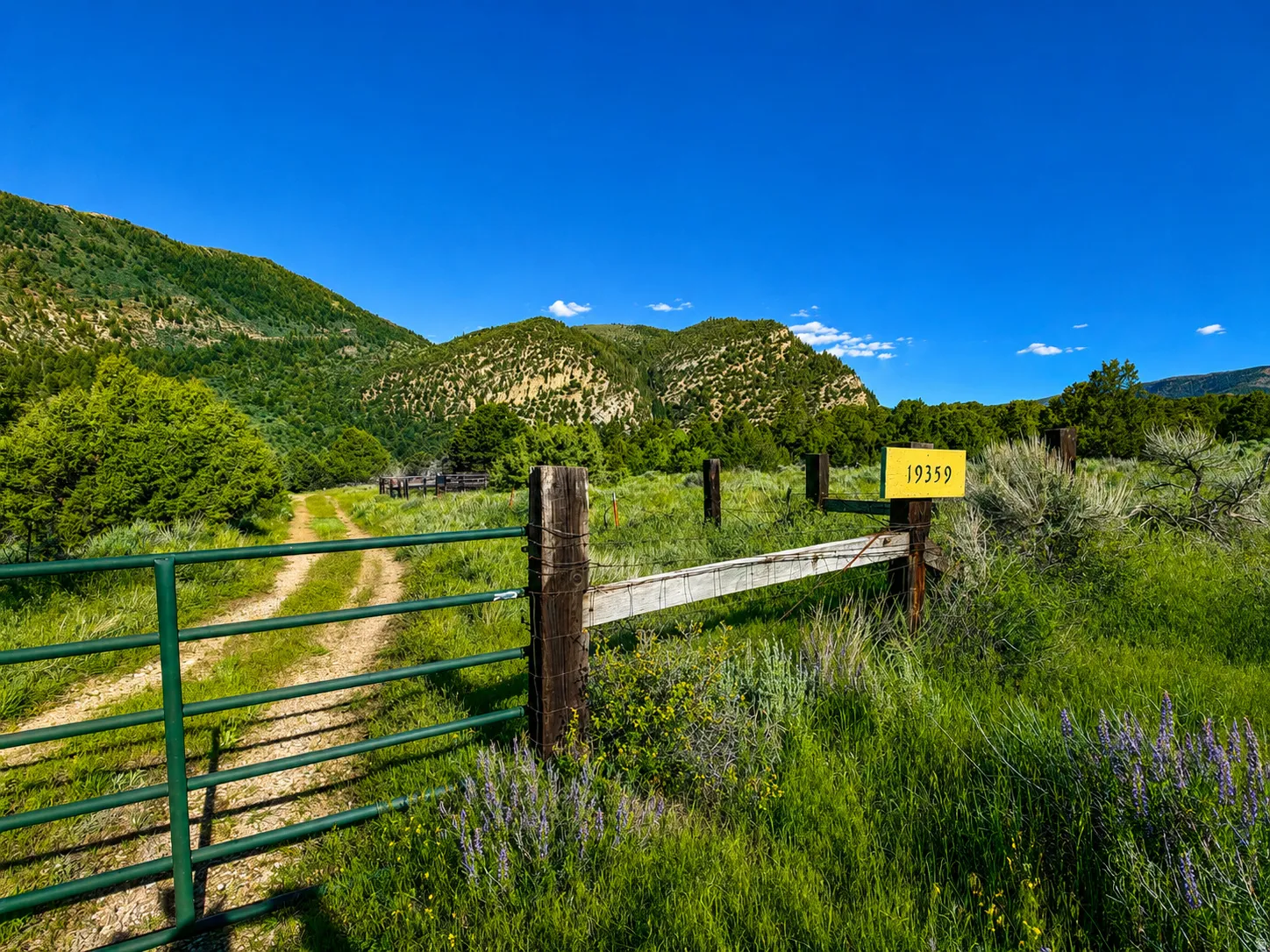 Rural setting featuring a green metal gate, a dirt path, wooden fence posts, and a yellow address sign